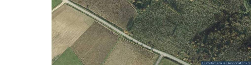 Zdjęcie satelitarne Kapliczka, Figura Świętych, Krzyż