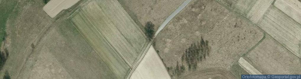 Zdjęcie satelitarne Kapliczka, Figura Świętych, Krzyż