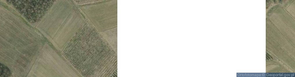 Zdjęcie satelitarne Kapliczka, Figura Świętych, Krzyż