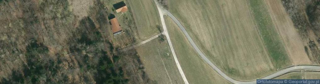 Zdjęcie satelitarne Kapliczka, Figura Świętych, Krzyż