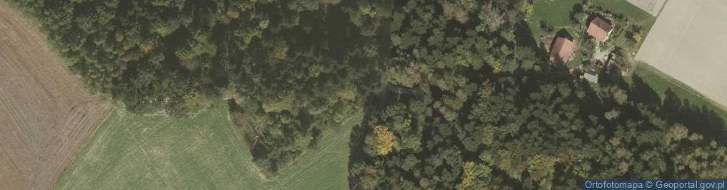 Zdjęcie satelitarne Kapliczka, Figura Świętych, Krzyż