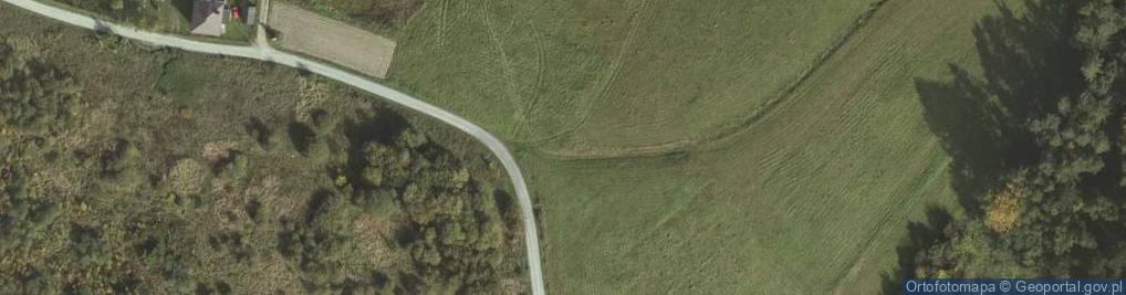 Zdjęcie satelitarne Kapliczka, Figura Świętych, Krzyż