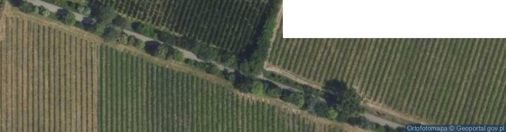 Zdjęcie satelitarne Kapliczka, Figura Świętych, Krzyż