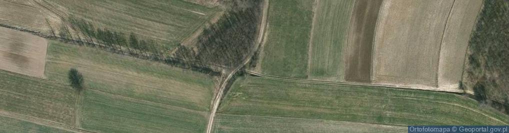 Zdjęcie satelitarne Kapliczka, Figura Świętych, Krzyż