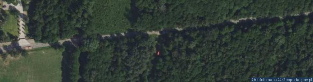 Zdjęcie satelitarne Kapliczka, Figura Świętych, Krzyż