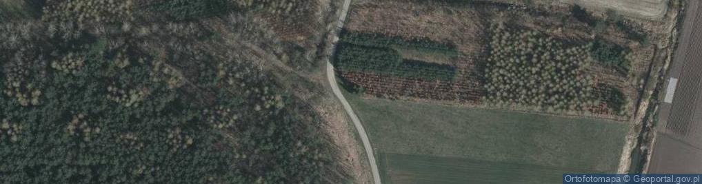 Zdjęcie satelitarne Kapliczka, Figura Świętych, Krzyż