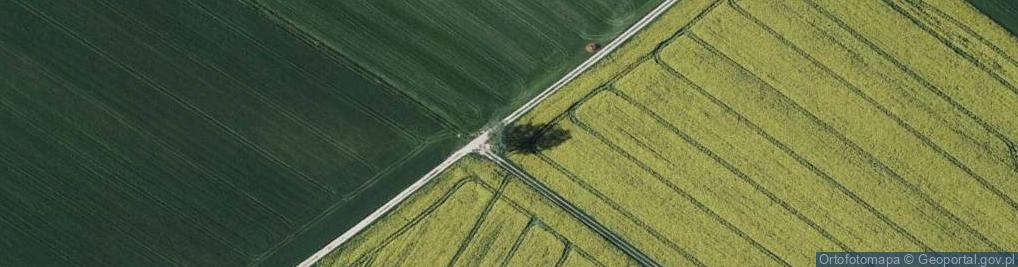 Zdjęcie satelitarne Kapliczka, Figura Świętych, Krzyż