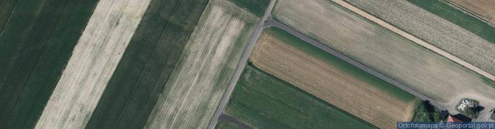 Zdjęcie satelitarne Kapliczka, Figura Świętych, Krzyż