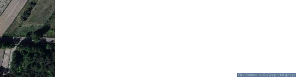 Zdjęcie satelitarne Kapliczka, Figura Świętych, Krzyż