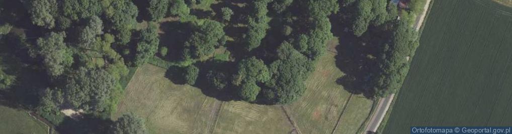 Zdjęcie satelitarne Kapliczka, Figura Świętych, Krzyż