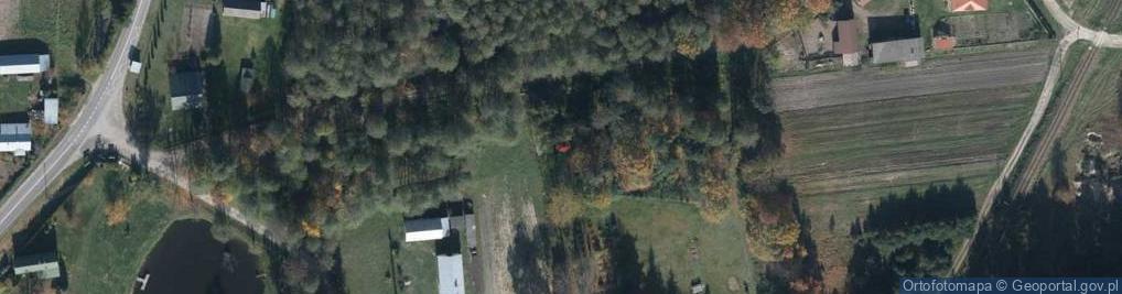 Zdjęcie satelitarne Kapliczka, Figura Świętych, Krzyż