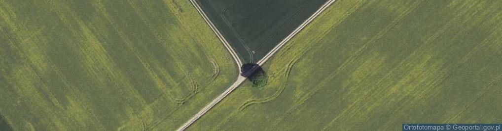 Zdjęcie satelitarne Kapliczka, Figura Świętych, Krzyż
