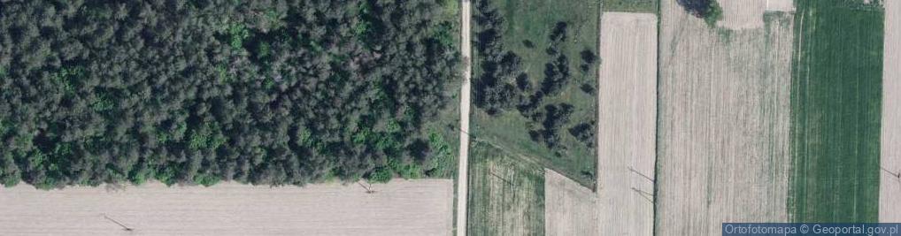 Zdjęcie satelitarne Kapliczka, Figura Świętych, Krzyż
