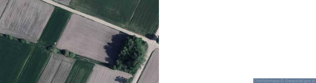 Zdjęcie satelitarne Kapliczka, Figura Świętych, Krzyż