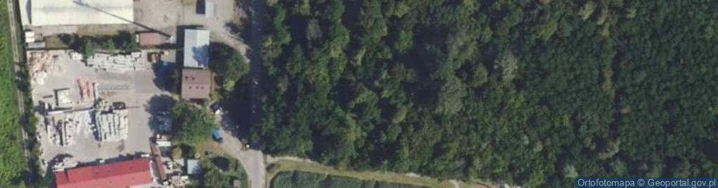 Zdjęcie satelitarne Kapliczka, Figura Świętych, Krzyż