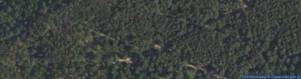 Zdjęcie satelitarne Kapliczka, Figura Świętych, Krzyż