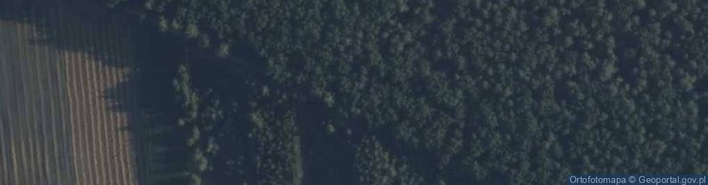 Zdjęcie satelitarne Kapliczka, Figura Świętych, Krzyż