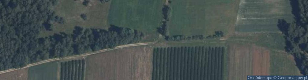 Zdjęcie satelitarne Kapliczka, Figura Świętych, Krzyż