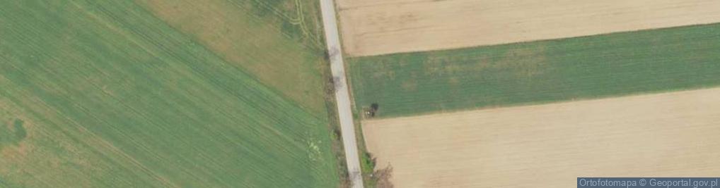 Zdjęcie satelitarne Kapliczka, Figura Świętych, Krzyż