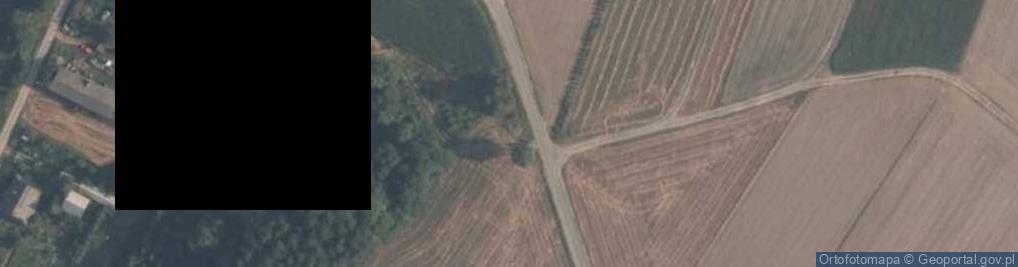 Zdjęcie satelitarne Kapliczka Matki Boskiej