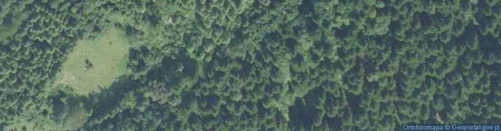 Zdjęcie satelitarne Kapliczka MB Bolesnej