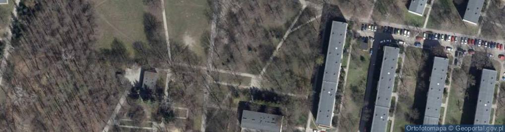 Zdjęcie satelitarne Kapliczka na drzewie
