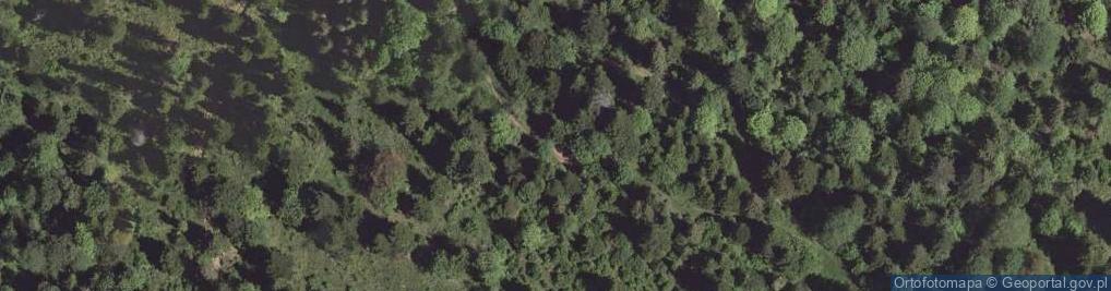 Zdjęcie satelitarne Kapliczka odpustowa SYNAREWO