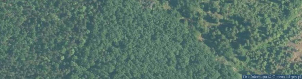 Zdjęcie satelitarne Krzyż na szczycie Jawornicy