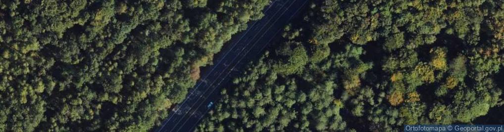 Zdjęcie satelitarne Krzyż