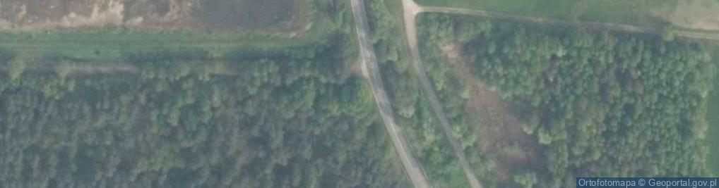 Zdjęcie satelitarne Krzyż