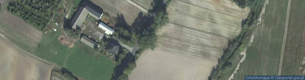 Zdjęcie satelitarne Zabytkowa Kapliczka Św. Jana Nepomucena