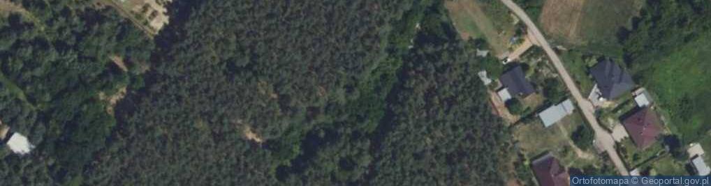 Zdjęcie satelitarne Cmentarz żydowski Kirkut