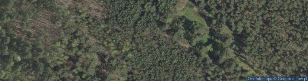 Zdjęcie satelitarne Cmentarz żydowski
