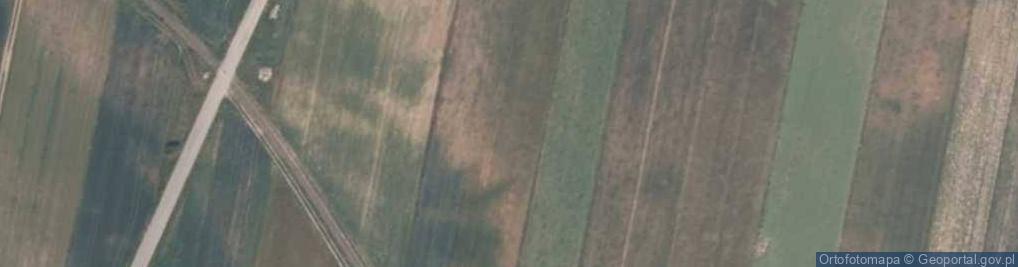 Zdjęcie satelitarne Białynin - Kolej Wąskotorowa Rogów-Rawa-Biała