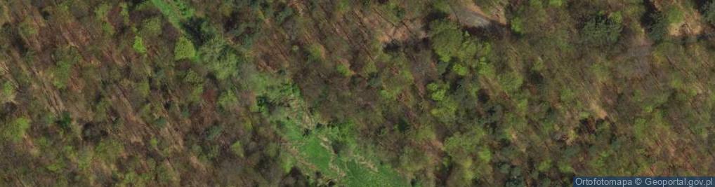 Zdjęcie satelitarne Sztolnia Czarnego Pstrąga (Szyb Ewa)