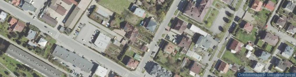 Zdjęcie satelitarne Agrosad Szkółka Drzew i Krzewów
