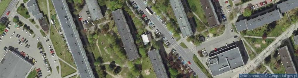 Zdjęcie satelitarne Działalność Handlowa