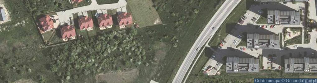 Zdjęcie satelitarne Kwiaty i więcej Urszula Walewska