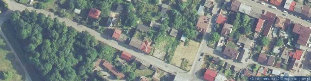 Zdjęcie satelitarne Skrzyneccy