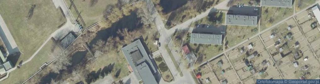 Zdjęcie satelitarne Stokrotka