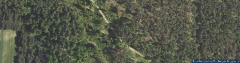 Zdjęcie satelitarne Las Bachowe