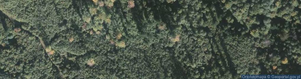 Zdjęcie satelitarne Las Kiełbasów