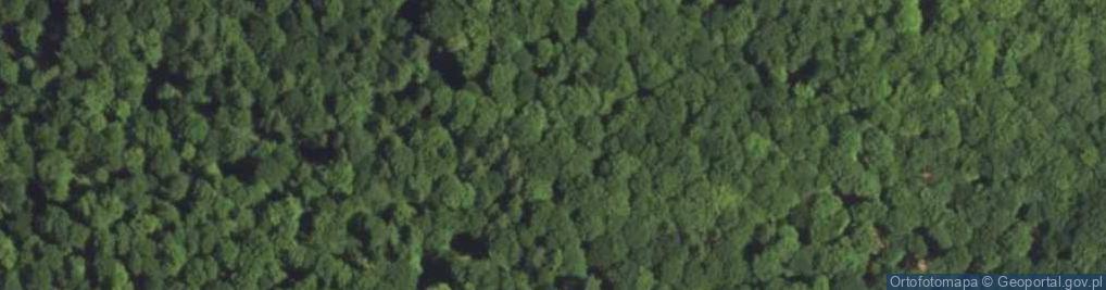 Zdjęcie satelitarne Las Lisia Góra