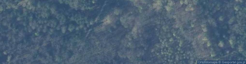 Zdjęcie satelitarne Las Miejski