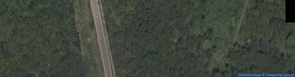 Zdjęcie satelitarne Las Miejski