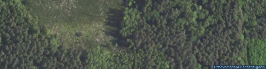 Zdjęcie satelitarne Las Mokra Olszyna