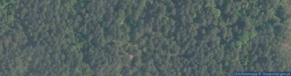 Zdjęcie satelitarne Las Pikulowy