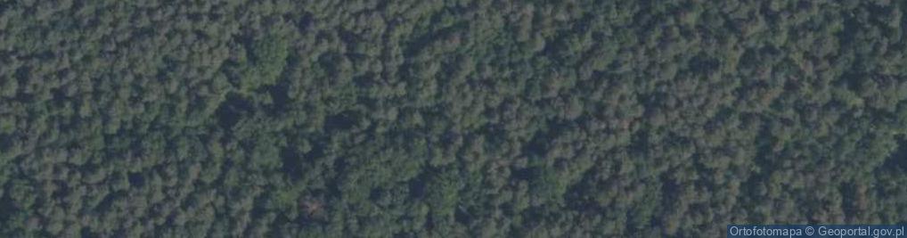 Zdjęcie satelitarne Las Trzeci Okręg