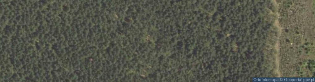 Zdjęcie satelitarne Las Zapiece