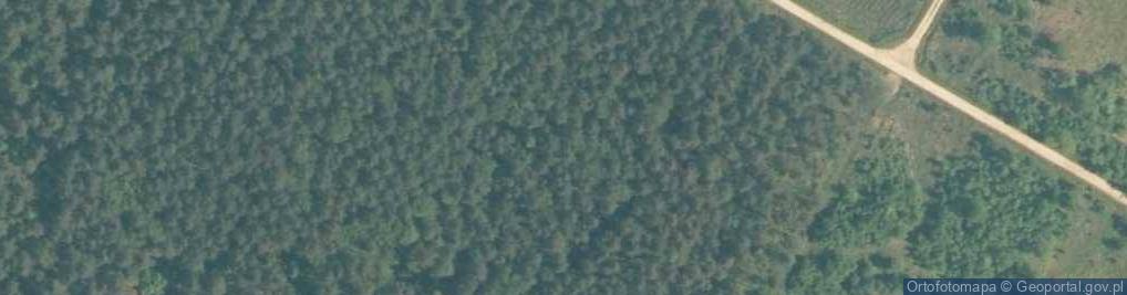 Zdjęcie satelitarne Puszcza Dulowska